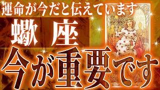 【新展開🌈】蠍座さん!!これからヤバいことになります✨最高の未来が待っている【鳥肌級タロットリーディング】