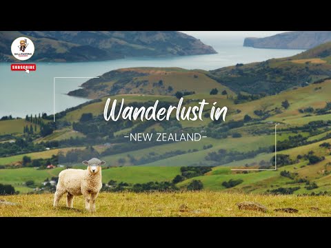 Wanderlust in New Zealand