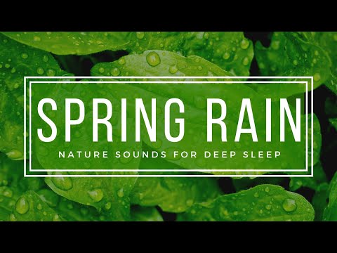 Spring Rain to Fall Asleep Faster - 9 Hours Forest Rain Meadow Sounds for Sleeping HD