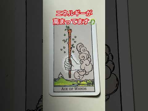 ワンド⚕️Ａ正位置 目標に向かって進む決意、エネルギーが高まってます😊 #タロット #占い #今日の運勢  @ganeshalukey