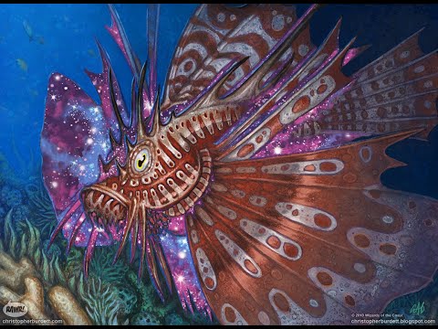 Christopher Burdett - Stinging Lionfish