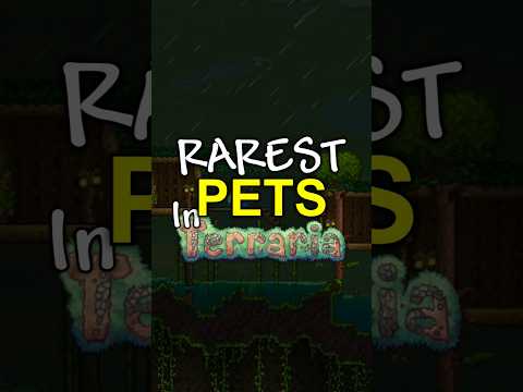 How to get the RAREST pets in Terraria