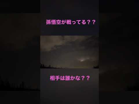 孫悟空が戦ってるのかな？　#shorts