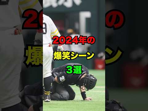 2024年の爆笑シーン3選