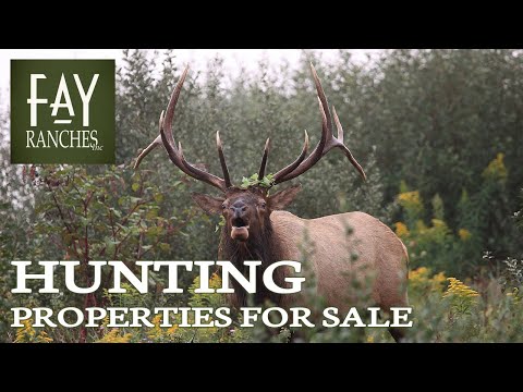 Big Game Hunting Properties For Sale | Fay Ranches | Coast to Coast