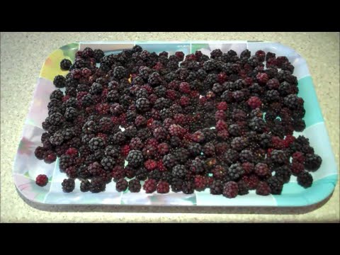 How to Freeze Soft Fruit