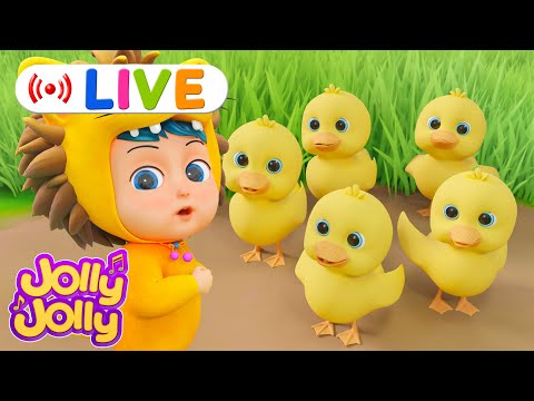 LIVE🔴Five little ducks, Wheels on the bus + More | Jolly Jolly & Friends - Best Kids Songs!