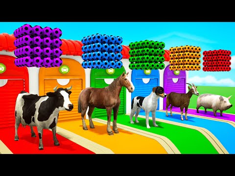 Finger Family songs - Paint Animals Cow Horse Dog Goat Pig - Baby Nursery Rhymes & Kids Songs