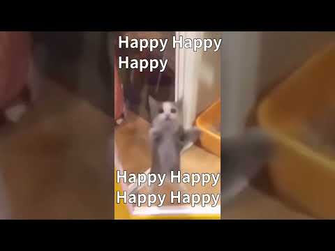 Happy Happy Happy feat.計畫通行