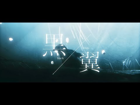 【MV】黒翼 (Black Wings) / 糖-tou-