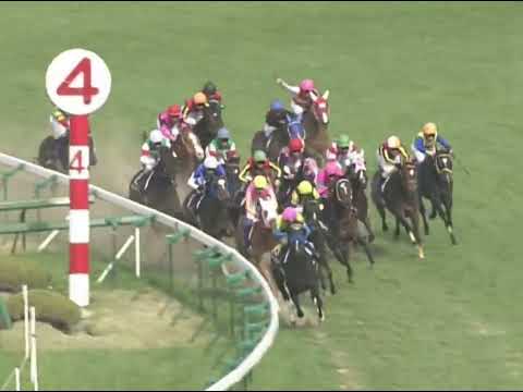 ラインクラフト 2005年 第65回桜花賞(GI) (優勝馬：ラインクラフト)