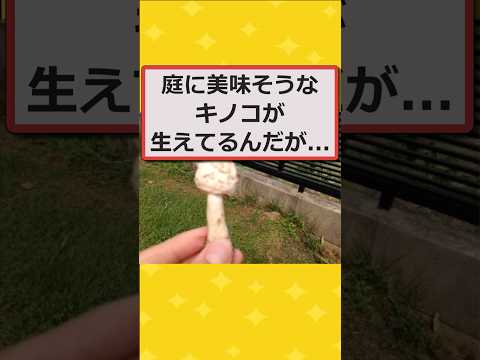 【2ch面白いスレ】ワイの庭に美味そうなキノコが生えてるんだがwwww #2ch #2chスレ #面白い #shorts