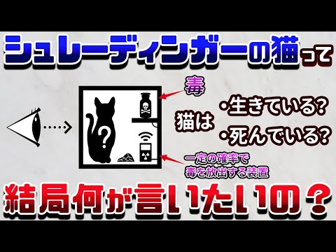 量子力学の思考実験「シュレーディンガーの猫」は結局何が言いたいのか？【ゆっくり解説】