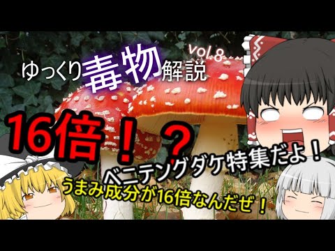 ゆっくり毒物vol.8～ベニテングダケ～【ゆっくり解説】