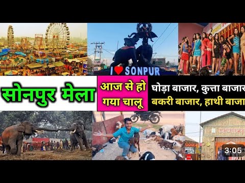 Sonpur mela 2024 इस बार भी माँ वैष्णोदेवी गुफा बनाया गया है २०२५ #sonpurmela2024 #sonpur#bihar