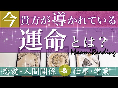 タロット オラクルカードリーディング🌈スピリチュアル👼あなたが導かれている運命🦄🌟