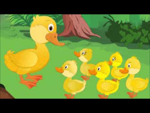 5 little ducks