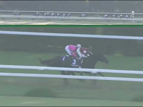 ラインクラフト 2005年 第22回マイルチャンピオンシップ(GI) (優勝馬：ハットトリック)