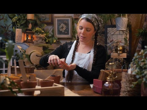 Choosing & Sowing Flower Seeds | ASMR cozy basics (unintelligible whispers, paper, writing)