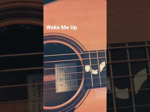 Wake Me Up / Avicii - 弾き語り