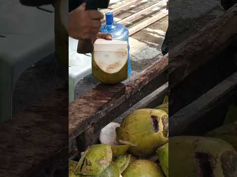 super amazing coconut peeling Asmr #cuttingskils #streetfood #youtubeshorts @GatchieJr33