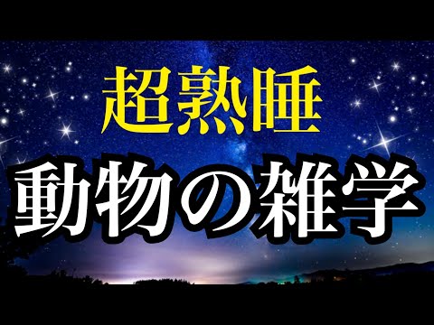 【睡眠雑学】動物の雑学　ヘェ〜は雑学１時間！　安眠　子守唄　熟睡