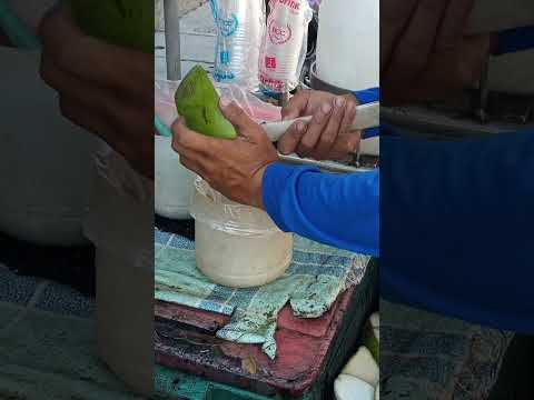 kinayod ang sariwang laman ng buko #satisfying #buko #bukojuice #streetfood #youtubeshorts #Gatchie