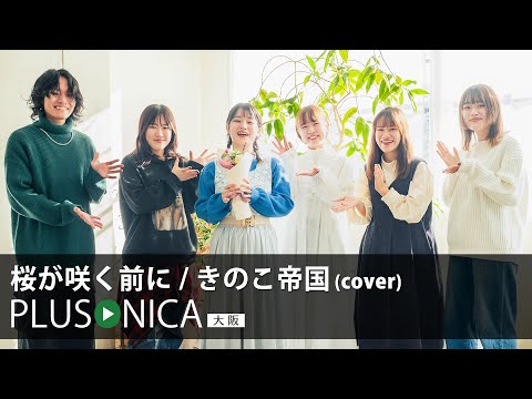 桜が咲く前に / きのこ帝国(cover)