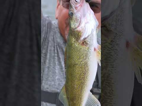 🐟 Robert’s First Catch on Lake Erie & Fresh Fish Fry Adventure! Around the Sun