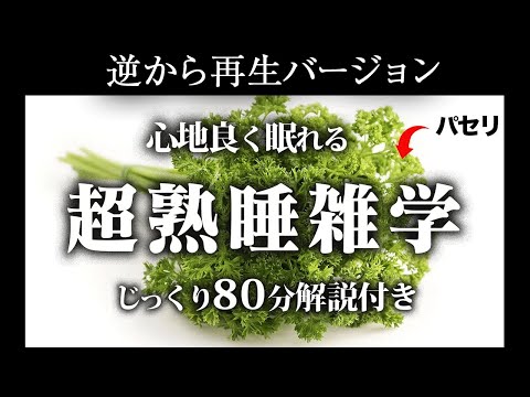 【逆から再生】超熟睡雑学【リラックス】面白いほど熟睡できる雑学をまとめました♪