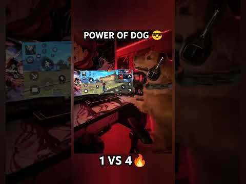 POWER OF DOG 😎🔥 #foryou #foryoupage #freefire #viral #trending #search #shorts