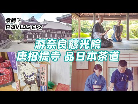 Nara Jikoin Temple/ Toshodaiji Temple/ Japanese Tea Ceremony丨Yuan Tengfei Japan VLOG02