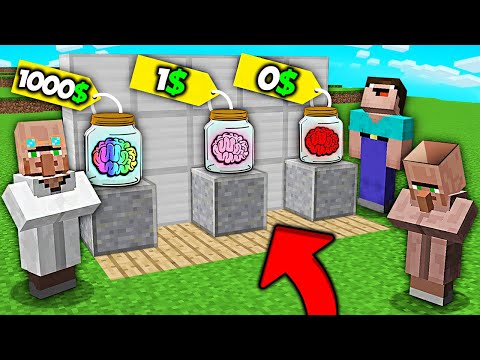 WHICH RUBY VS ORIGINAL VS RAINBOW BRAIN TO BUY FOR THIS VILLAGER IN MINECRAFT ? 100% TROLLING TRAP !