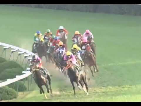 ラインクラフト 2004年 第9回KBS京都賞 ファンタジーステークス(GIII)  (優勝馬：ラインクラフト) (実況：ラジオNIKKEI)