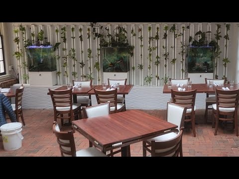 New organic plants for restaurant aquaponics wall