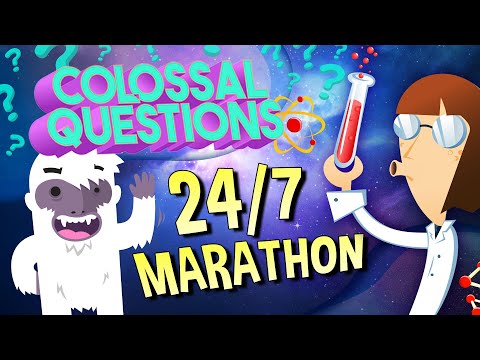 24/7 COLOSSAL QUESTIONS MARATHON - Answering the World's Biggest Questions!