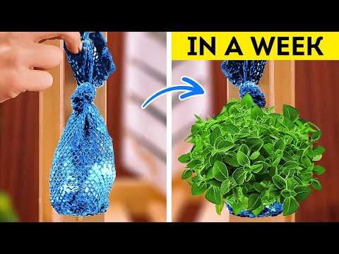 Ultimate Gardening Hacks for Growing Healthy Plants with Minimal Space ☘