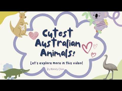 【酷僑專區】跟著海外學生一起環遊世界｜澳洲布里斯本市｜2024｜Cutest Australian Animals