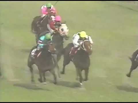 ヤマニンゼファー 1992年 第37回京王杯スプリングカップ(GII) (優勝馬：ダイナマイトダディ)(実況：ラジオたんぱ)