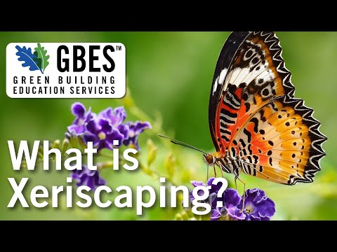 What Is Xeriscaping? - Continuing Education Clips