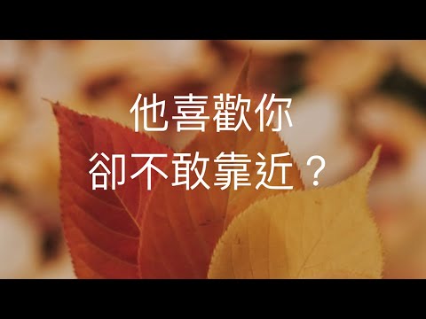 塔羅占卜🦄他喜歡你 卻不敢靠近？