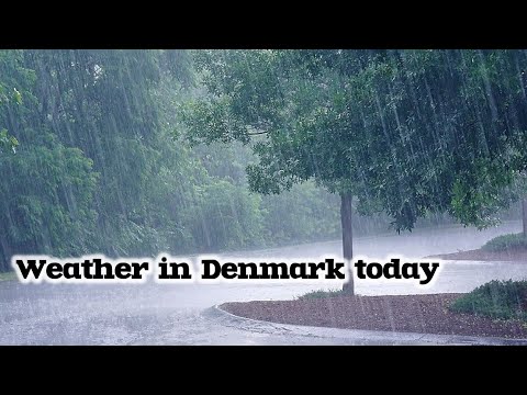 Live in rain| My life in Denmark|#foryou #europe #livestream