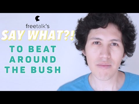 TO BEAT AROUND THE BUSH — Say What?! | Learn English Expressions