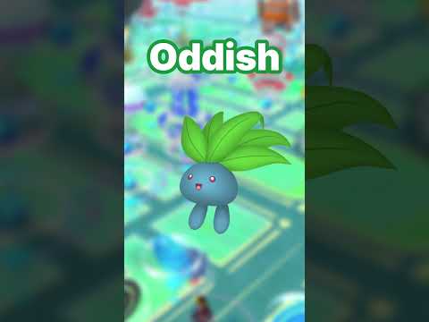 How To Catch Ditto in Pokemon Go (Ditto Disguise Update in April 2024 #pokemongo #pokemongoditto