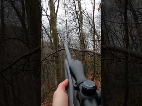 Coon calling hunting #trending #hunting #trendingshorts #shorts