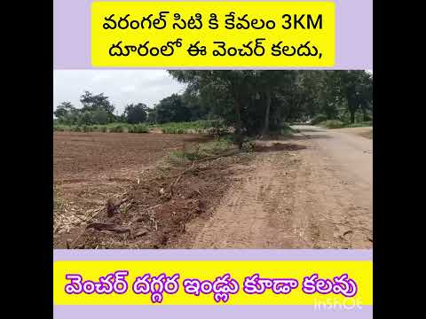 NON LAYOUT PLOTS FOR SALE, ONLY 1100/-PER YARD,AT DHUPAKUNTA ROAD, NEAR BY IRR, WARANGAL CITY