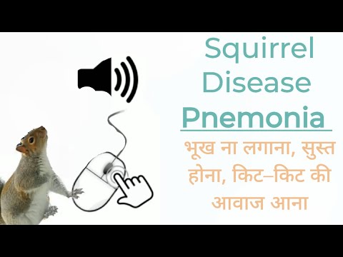 Squirrel Desease - Aspiration Pneumonia In Hindi