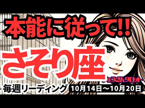 【蠍座】♏️2024年10月14日の週♏️本能に従って。ストイックな努力がチャンスを運んでくる。タロット占い。さそり座