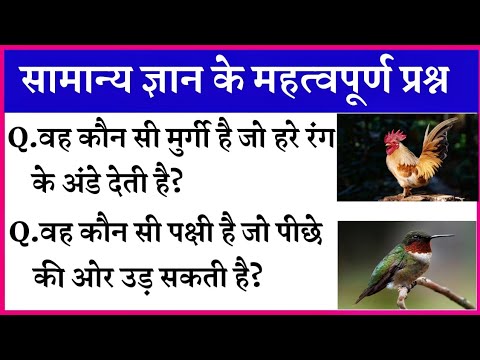 General Knowledge Most Important Question | Gk Question | Samanya Gyan | Gk in Hindi | Gk Right