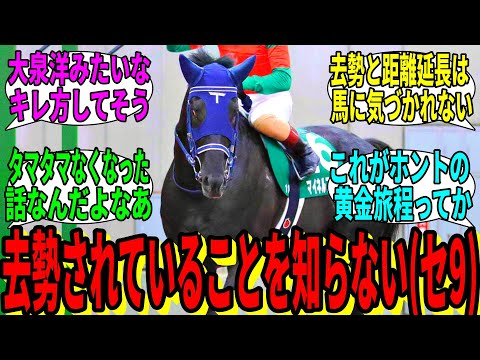 【競馬の反応集】「ファニキ(9)、ゴールドだけ先に旅立ち」に対する視聴者の反応集